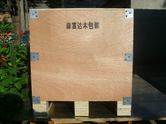 中國(guó)巨力出口包裝箱